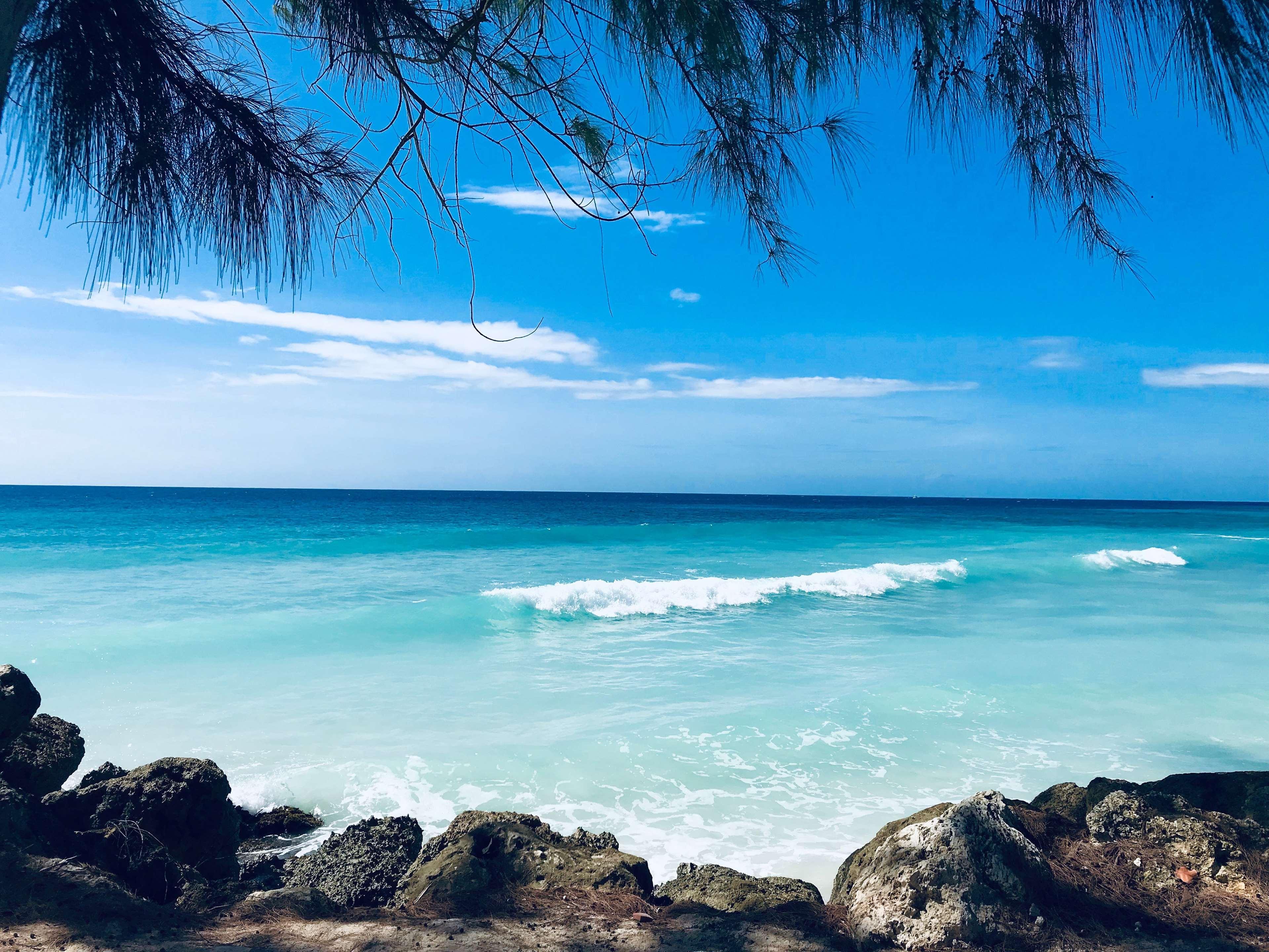 Divi Southwinds Beach Resort Christ Church Exterior foto