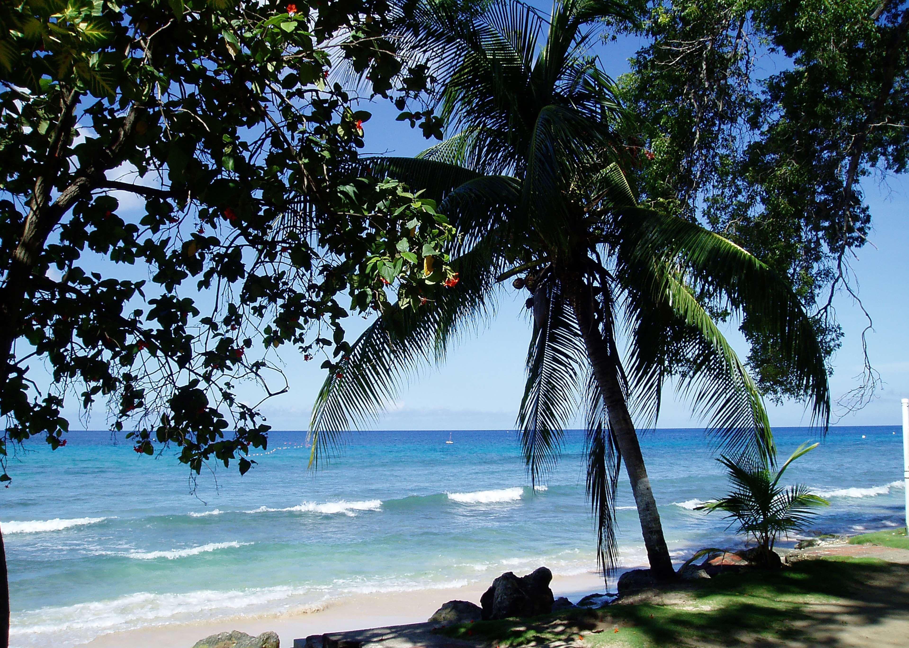 Divi Southwinds Beach Resort Christ Church Exterior foto